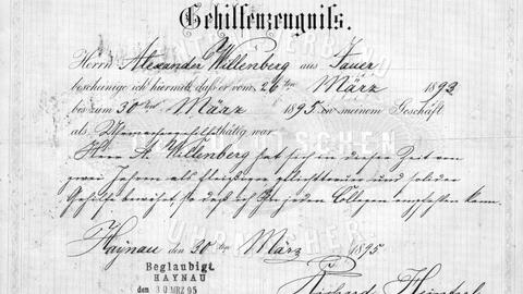 Zeugnis Alexander Willengerg 1895