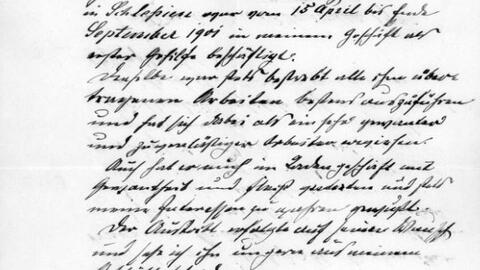 Zeugnis Alexander Willenberg 1902